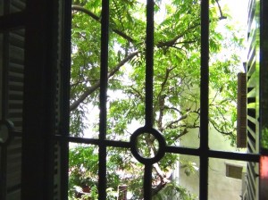 窓から見える緑の木々