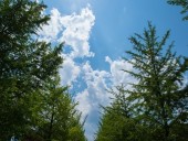 燦々と降り注ぐ太陽の光「この太陽光が目には大切だそうです」