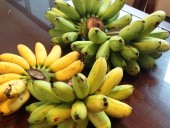 ベトナムの人々には特別な果物「Chuoi Ngu(大様のバナナ)」