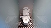 ヒップシャワー付きの便器です