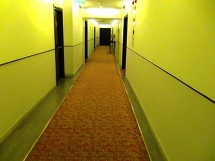 廊下は全て絨毯敷きなので静かです。